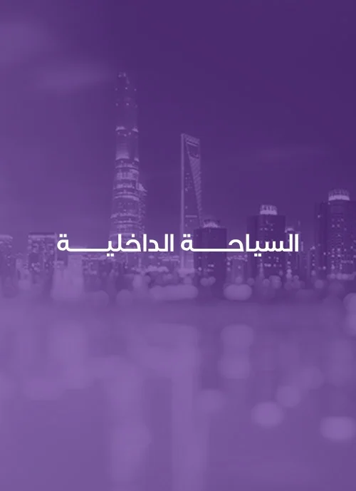 السياحة الداخلية