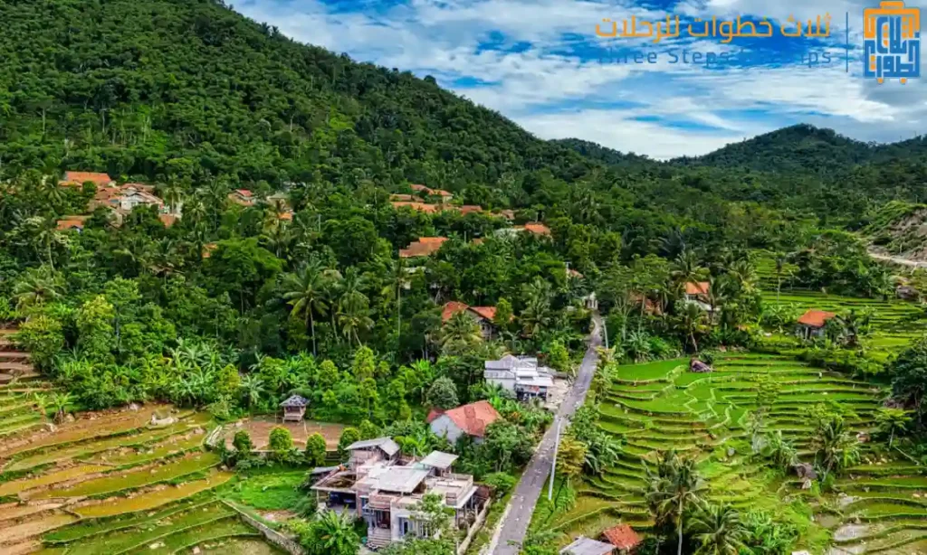 بونشاك الجبل